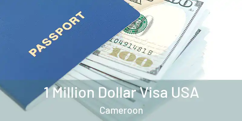 1 Million Dollar Visa USA Cameroon