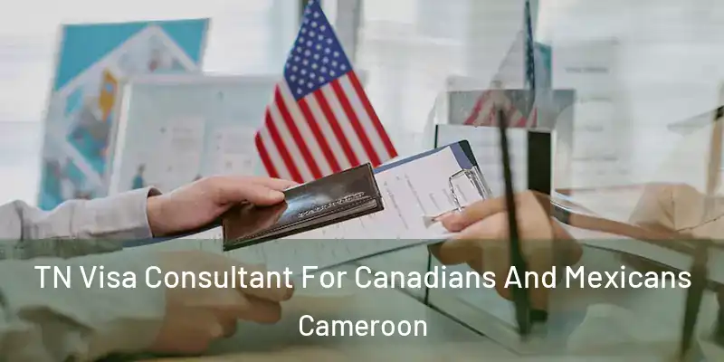 TN Visa Consultant For Canadians And Mexicans Cameroon